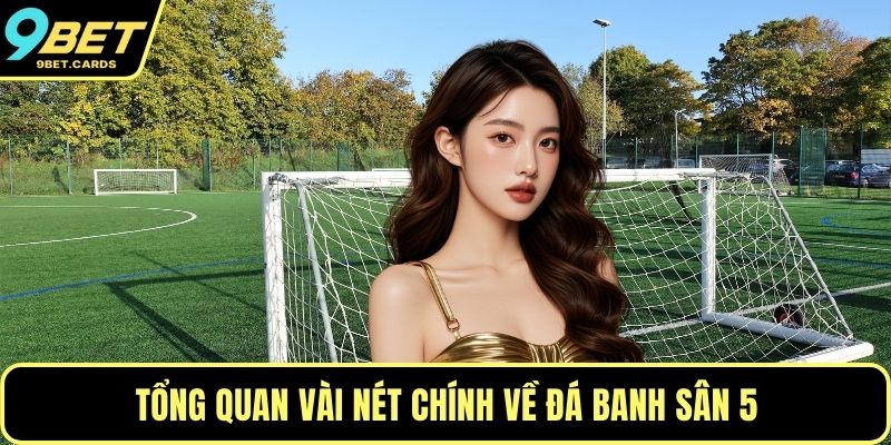 Tổng quan vài nét chính về đá banh sân 5